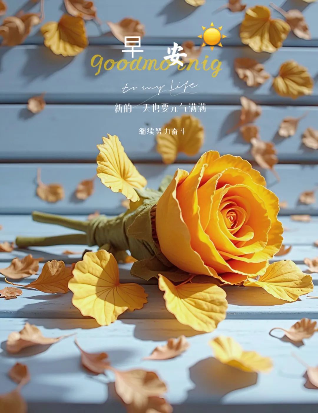 “ ²⁰²⁴/₁₁.₂₁ᵕ̈ 朋友圈🥂早安文案˗ˏˋ🧡-5265-2