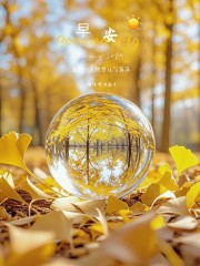 “˗ˋˏ早安朋友圈文案ˎˊ˗²⁰²⁴/₁₁.₂₀：心怀希望，万物明朗， 努力向上，闪闪发亮”-5273-3