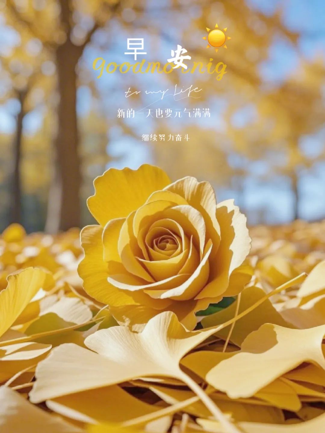 “ ²⁰²⁴/₁₁.₁₇ᵕ̈ 朋友圈🥂早安文案˗ˏˋ🧡ˎˊ˗ ”-5296-1