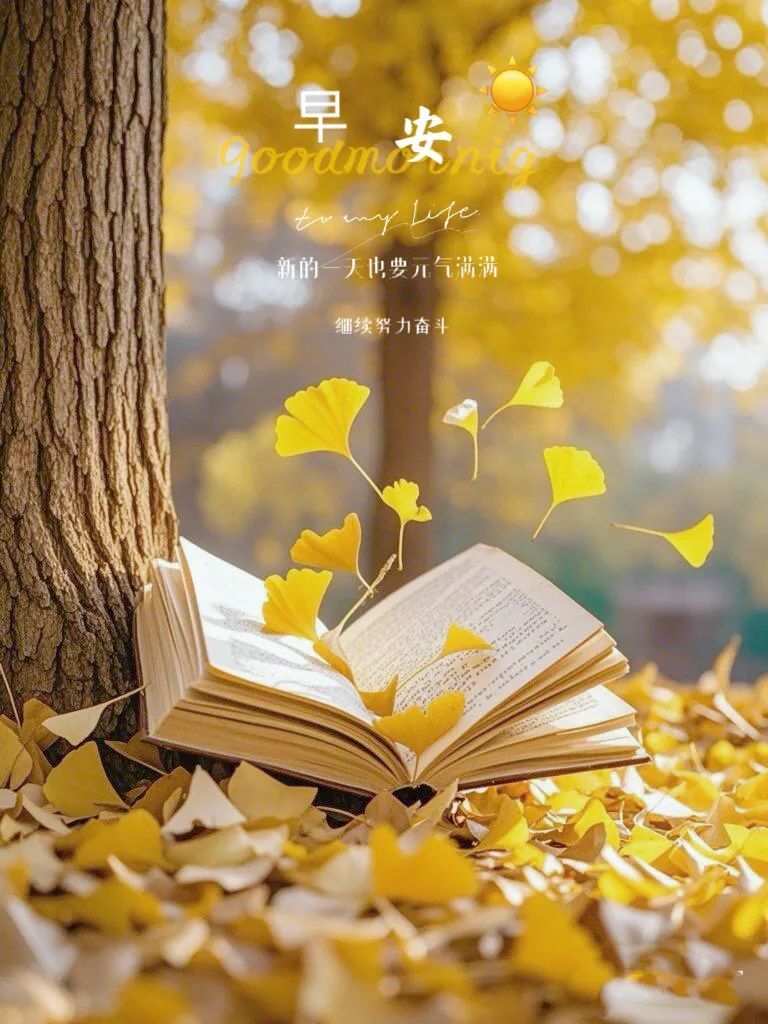 “˗ˋˏ早安朋友圈文案ˎˊ˗²⁰²⁴/₁₁.₁₆：与时光落落为安， 只记欢喜，不记忧”-5303-1