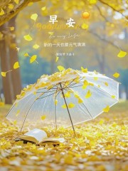 “˗ˋˏ早安朋友圈文案ˎˊ˗²⁰²⁴/₁₁.₁₄：烟火里谋生，四季里谋爱”-5319-1
