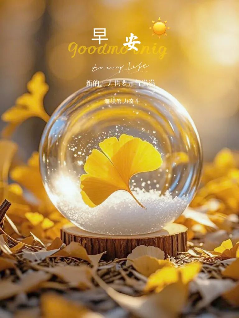 “ ²⁰²⁴/₁₁.₁₀ᵕ̈ 朋友圈🥂早安文案˗ˏˋ🧡ˎˊ˗ ”-5353-1