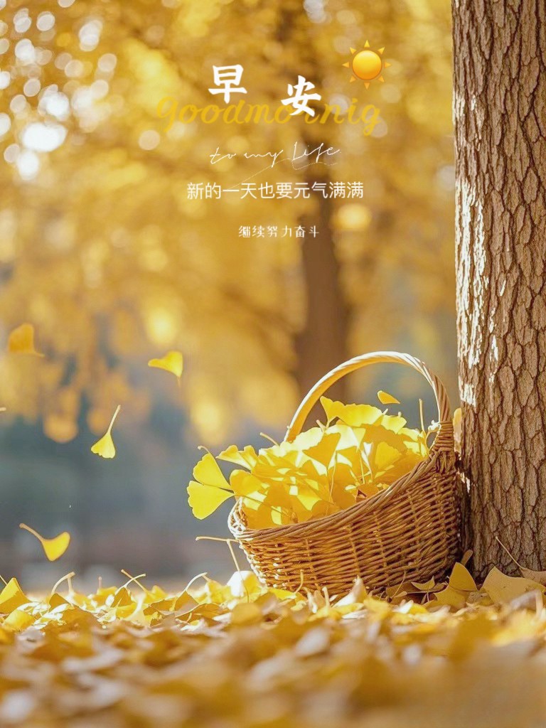 “ ²⁰²⁴/₁₁.₀₇ᵕ̈朋友圈🥂早安文案˗ˏˋ🧡ˎˊ˗ ”-5372-1