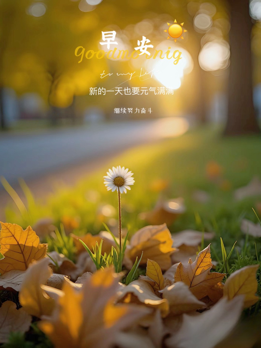 “ ²⁰²⁴/₁₁.₀₆ᵕ̈朋友圈🥂早安文案˗ˏˋ🧡ˎˊ˗ ”-5383-1