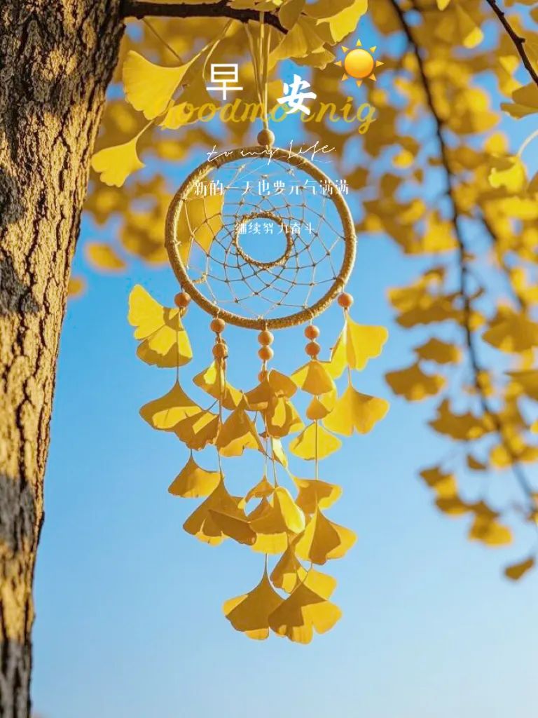 “˗ˋˏ早安朋友圈文案ˎˊ˗²⁰²⁴/₁₁.₀₅：岁寒添衣，照顾好自己”-5390-2