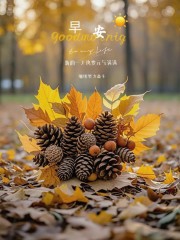 “˗ˋˏ早安朋友圈文案ˎˊ˗²⁰²⁴/₁₁.₀₄：闪闪发亮，向阳而生”-5398-1