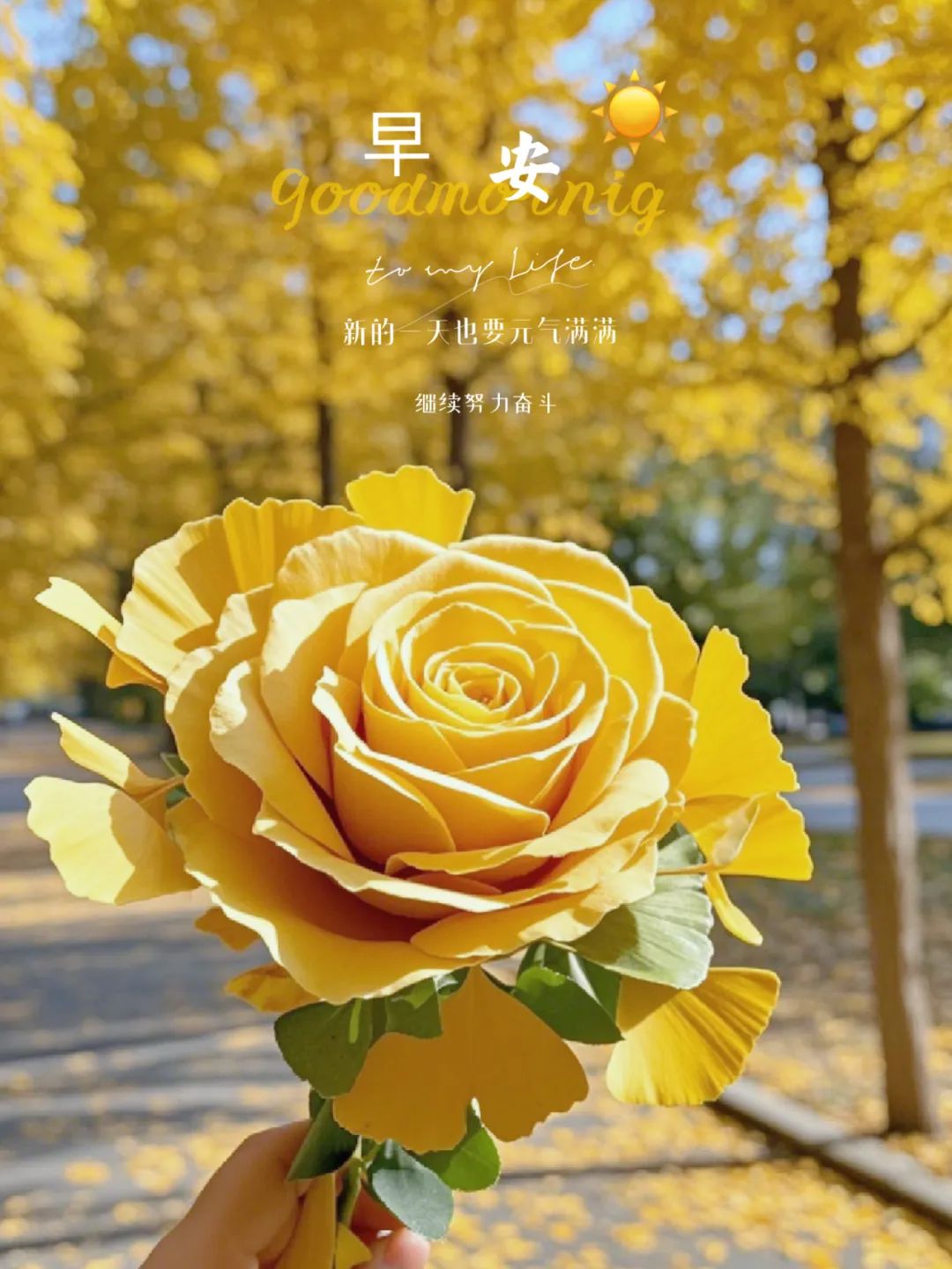 “ ²⁰²⁴/₁₁.₀₄ᵕ̈朋友圈🥂早安文案˗ˏˋ🧡ˎˊ˗ ”-5399-2