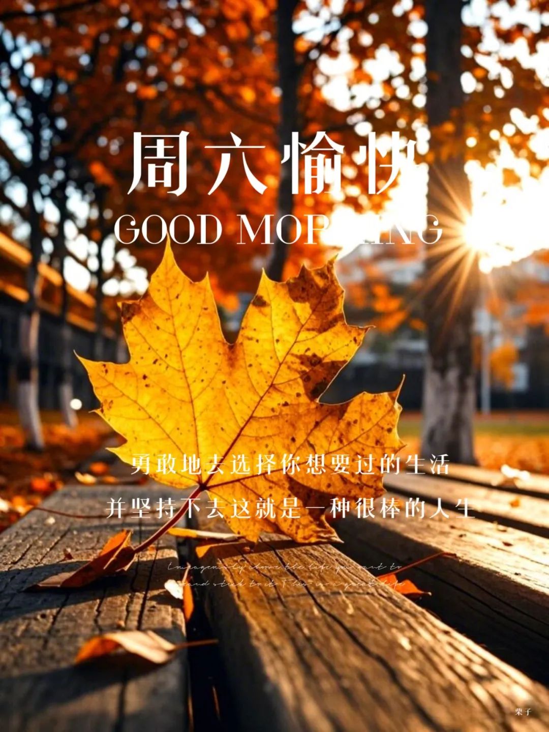 “˗ˋˏ早安朋友圈文案ˎˊ˗²⁰²⁴/₁₁.₀₂：常欢愉，皆胜意”-5413-3