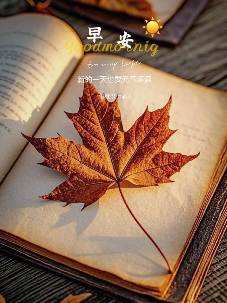 “ ²⁰²⁴/₁₁.₀₂ᵕ̈ 朋友圈🥂早安文案˗ˏˋ🧡ˎˊ˗ ”-5414-2