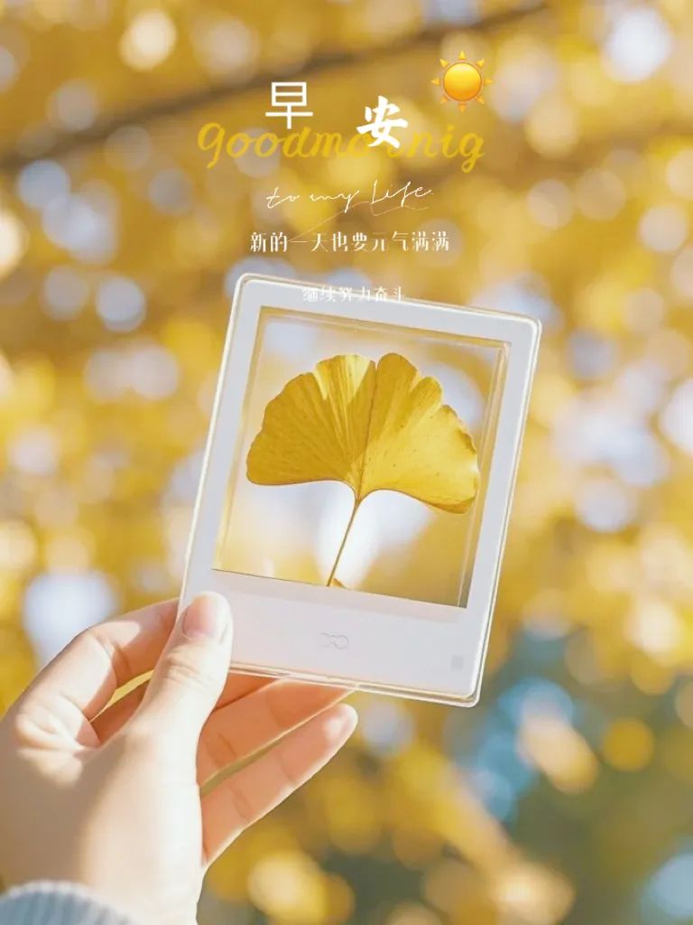 “ ²⁰²⁴/₁₁.₀₁ᵕ̈ 朋友圈🥂早安文案˗ˏˋ🧡ˎˊ˗ ”-5419-1