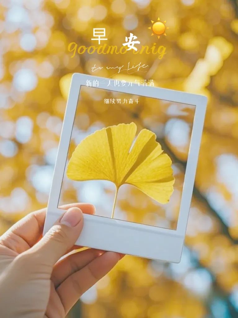 “ ²⁰²⁴/₁₁.₀₁ᵕ̈ 朋友圈🥂早安文案˗ˏˋ🧡ˎˊ˗ ”-5419-2