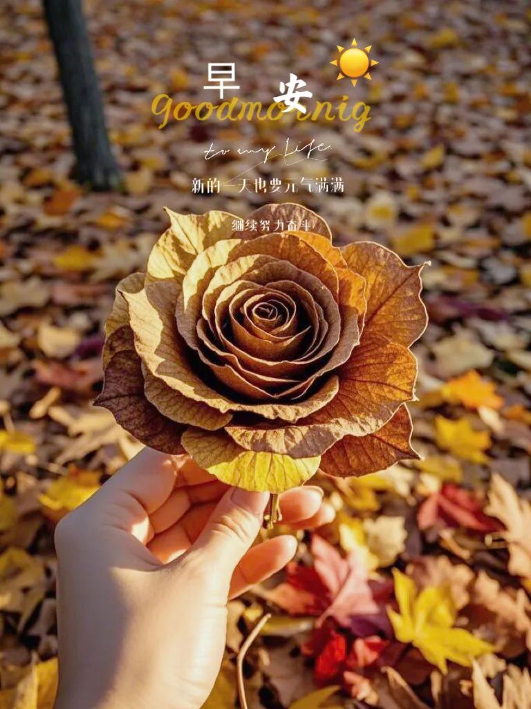 “ ²⁰²⁴/₁₀.₃₀ᵕ̈朋友圈🥂早安文案˗ˏˋ🧡ˎˊ˗ ”-5434-1