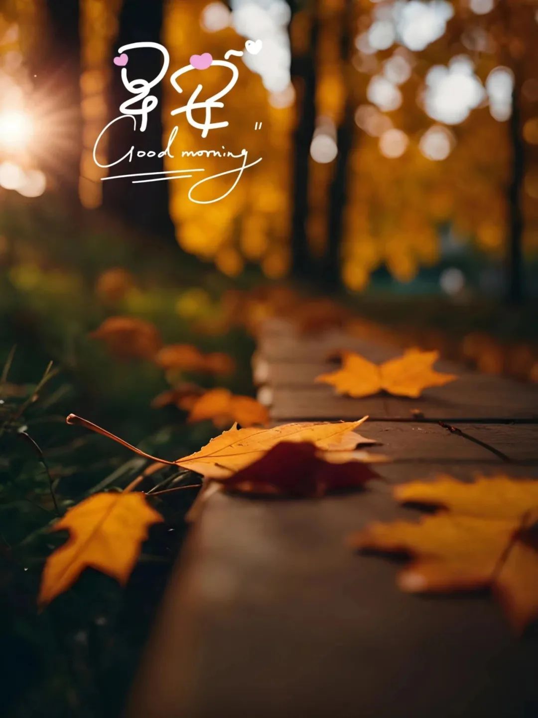 “ ²⁰²⁴/₁₀.₂₆ᵕ̈朋友圈🥂早安文案˗ˏˋ🧡ˎˊ˗ ”-5458-2