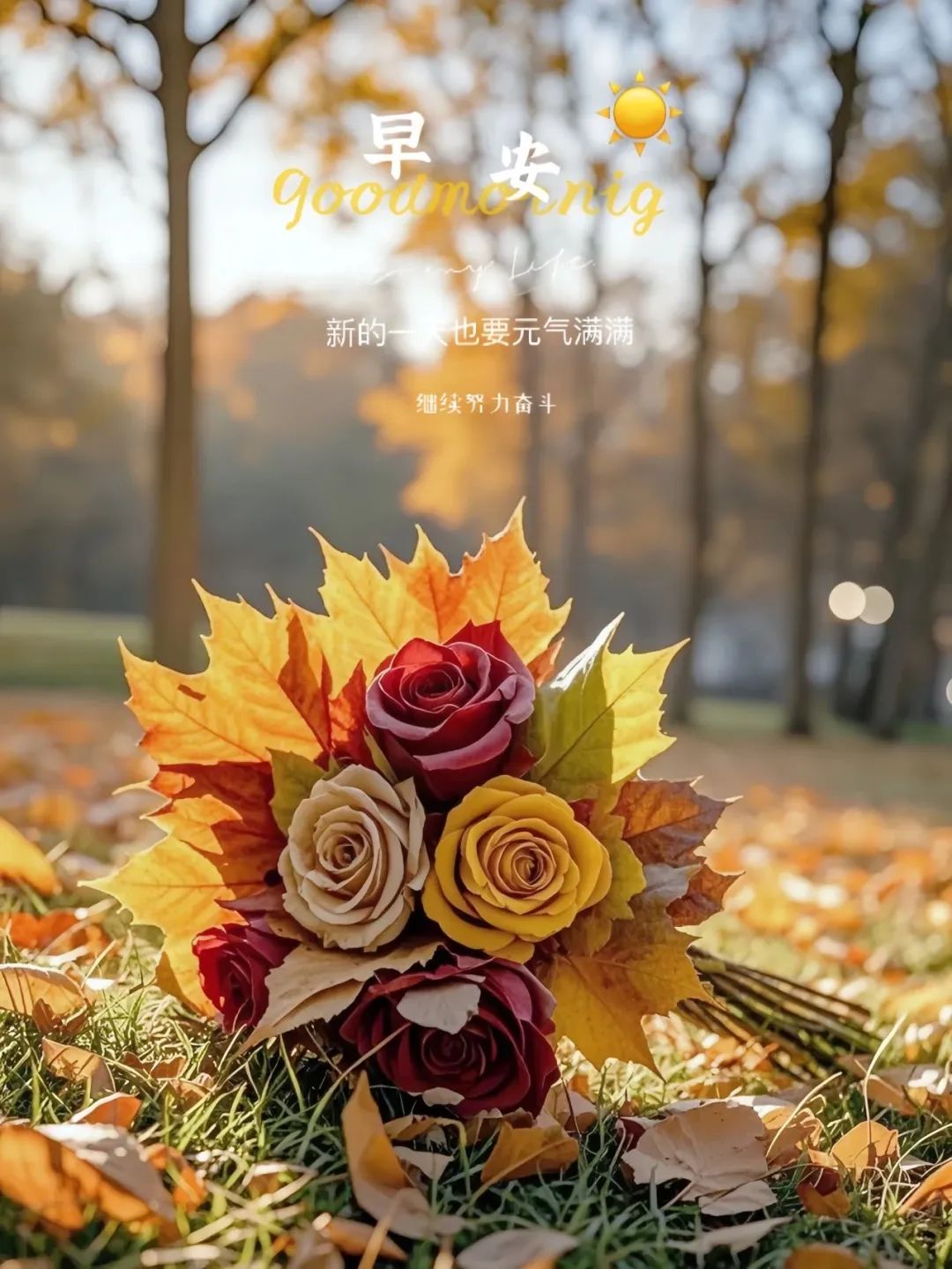 “ ²⁰²⁴/₁₀.₂₄ᵕ̈朋友圈🥂早安文案˗ˏˋ🧡ˎˊ˗ ”-5470-1