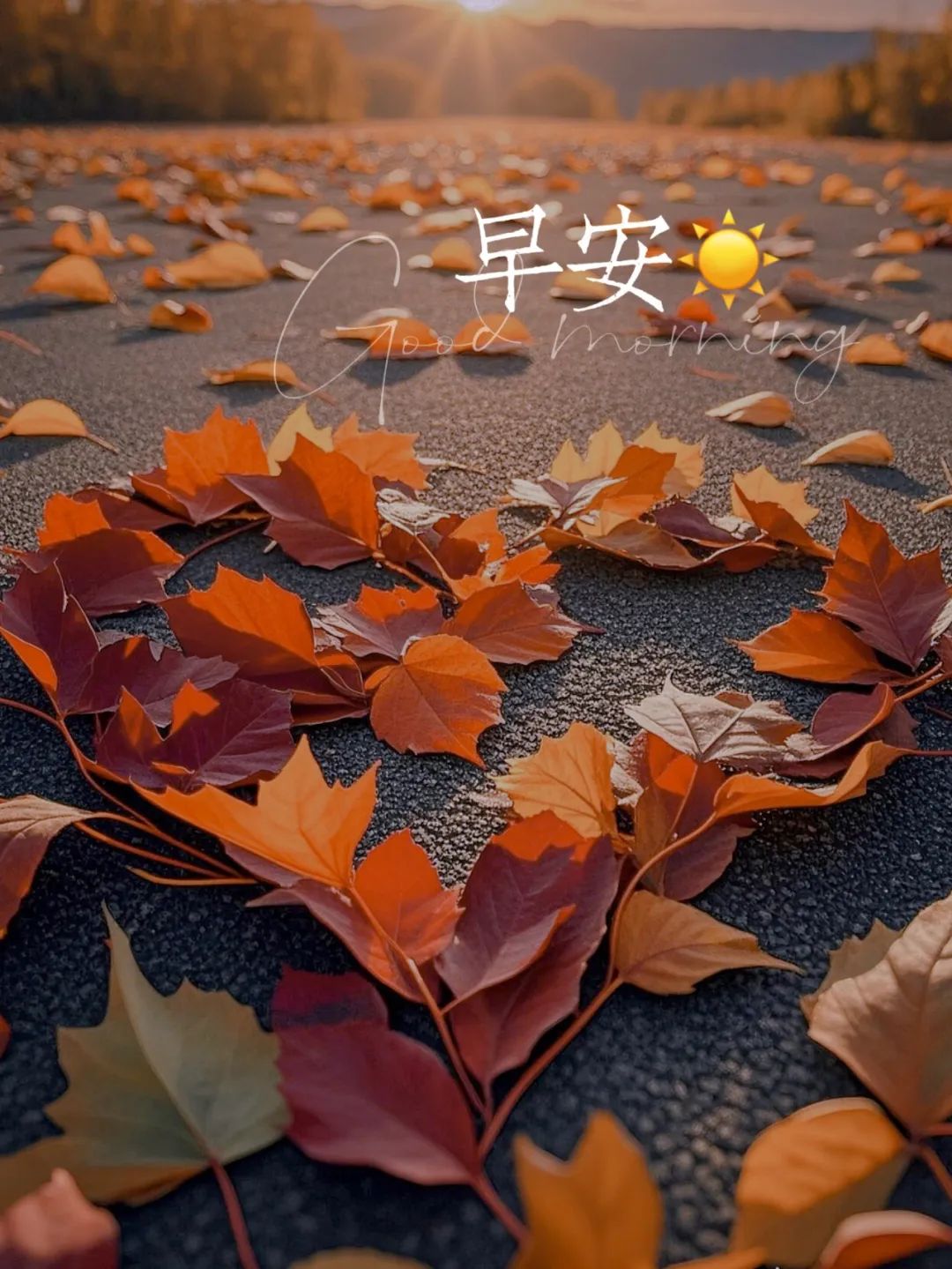 “ ²⁰²⁴/₁₀.₂₁ᵕ̈朋友圈🥂早安文案˗ˏˋ🧡ˎˊ˗ ”-5491-2