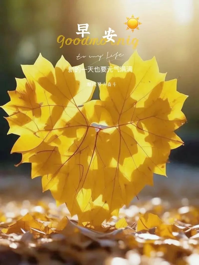 “ ²⁰²⁴/₁₀.₁₇ᵕ̈朋友圈🥂早安文案˗ˏˋ🧡ˎˊ˗ ”-5518-1