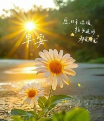 “ ²⁰²⁴/₁₀.₁₂ᵕ̈朋友圈🥂早安文案˗ˏˋ🧡ˎˊ˗ ”-5550-1