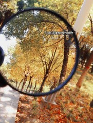 “10月1日，发一条不一样的朋友圈”-5598-5