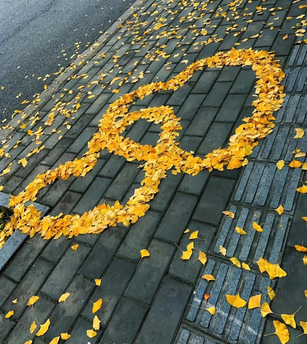 “10月1日，发一条不一样的朋友圈”-5598-4