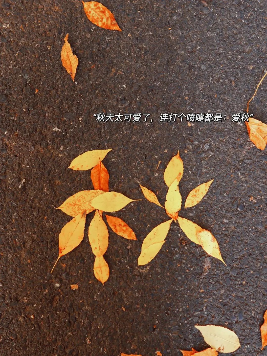 “10月1日，发一条不一样的朋友圈”-5598-6
