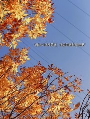 “10月1日，发一条不一样的朋友圈”-5598-8