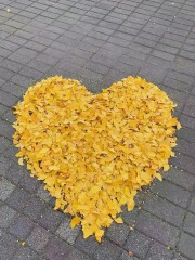 “10月1日，发一条不一样的朋友圈”-5598-7