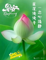 “适合早上起床发的，高情商早安文案～开启美好的一天”-5687-4