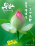 “适合早上起床发的，高情商早安文案～开启美好的一天”-5687-4