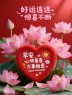 ˗ˏˋ「早安」朋友圈文案一定要这样发，人人点赞，周末愉快ˎˊ˗-5688-1