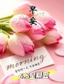 ᰔᩚᐝ²⁰²⁵/₀₆.₀₆6月6日六六大顺早安祝福文案和美图！祝高考学子「金榜题名」～Best wishes!-5689-2