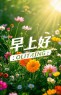 “「早安」朋友圈一定要这样发，没有舍得屏蔽你”~🧡原创首发早安美图-5692-2