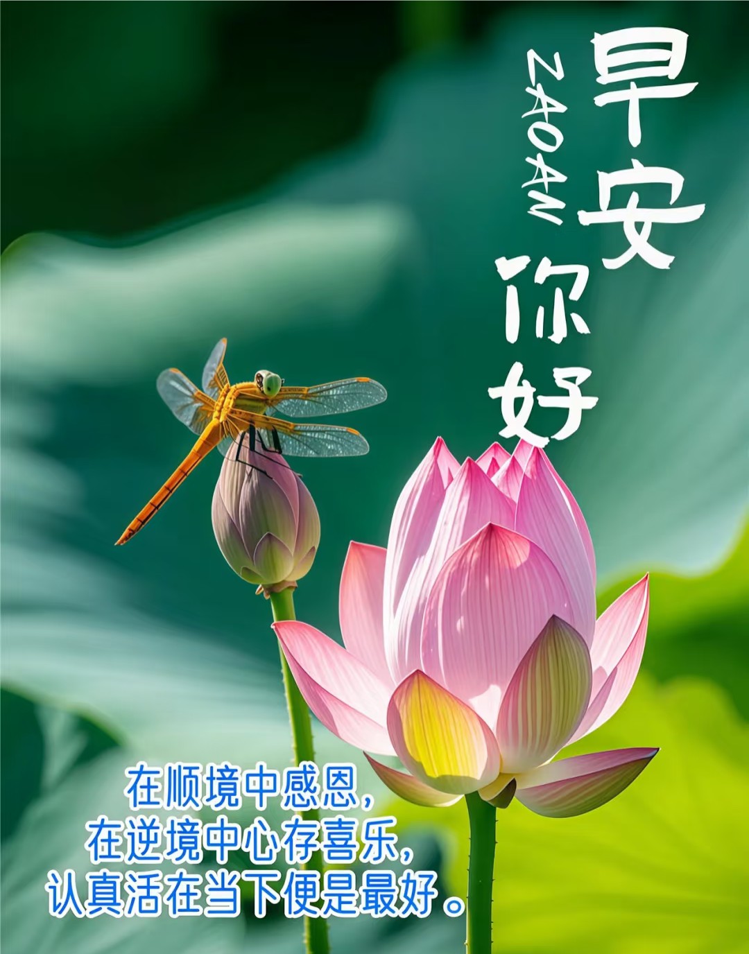 “「早安」这样发，元气满满的一天”-5701-2