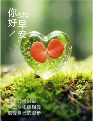 “「早安」这样发，元气满满的一天”-5701-3