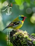 “²⁰²⁵⁄₀₄.₂₀谷雨「早安」，朋友圈这么发，点赞瞬间爆棚”-5742-4