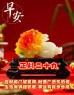正月二十九：愿你九九吉祥，岁岁如意，早安吉祥！-5820-8