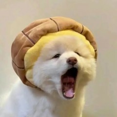 “又皮又欠揍的搞笑句子，撩人不油腻”-6245-8