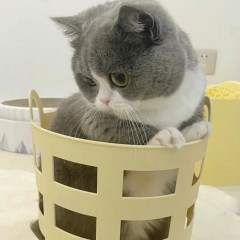 “又皮又欠揍的搞笑句子，上班别看容易笑喷”-6249-8
