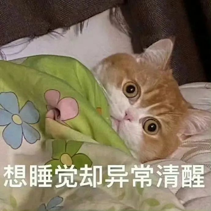 “这个点了谁没回家，打工人极限阴阳上班文案”-6469-5