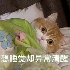 “这个点了谁没回家，打工人极限阴阳上班文案”-6469-5