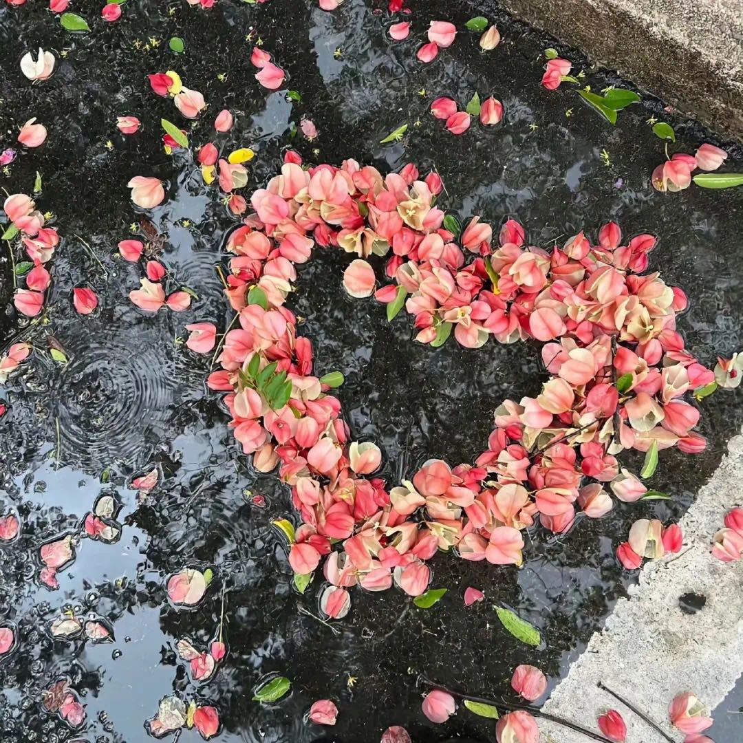 “句子不黄，撩人很强”-7120-5