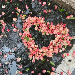 “句子不黄，撩人很强”-7120-5
