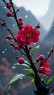 “一个女人朋友圈这么发，说明她很聪明”-7677-4