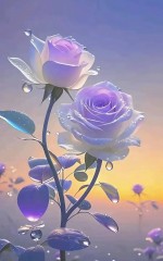 “一个女人，朋友圈这么发，说明她很聪明”-7735-1