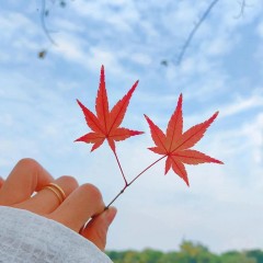 题图-“不一样的‘早安文案’，太招财了！”