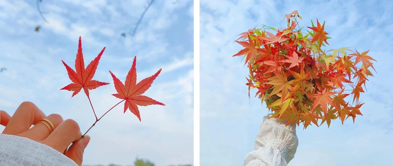 题图-“不一样的‘早安文案’，太招财了！”