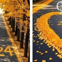 题图-“²⁰²⁴/₁₁.₁₃ ᵕ̈ 朋ᩚ友ᩚ圈ᩚ🥂早安文案🧡ᐝ ”