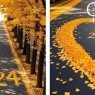 题图-“²⁰²⁴/₁₁.₁₃ ᵕ̈ 朋ᩚ友ᩚ圈ᩚ🥂早安文案🧡ᐝ ”