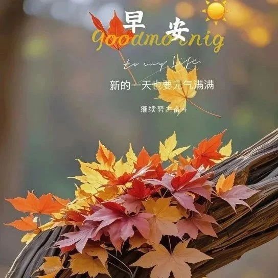 题图-“²⁰²⁴/₁₁.₁₂ ᵕ̈ 朋ᩚ友ᩚ圈ᩚ🥂早安文案🧡ᐝ ”