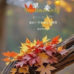 题图-“²⁰²⁴/₁₁.₁₂ ᵕ̈ 朋ᩚ友ᩚ圈ᩚ🥂早安文案🧡ᐝ ”