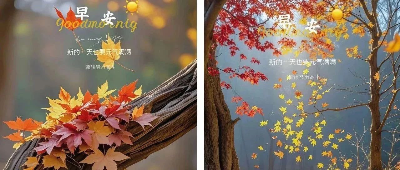 题图-“²⁰²⁴/₁₁.₁₂ ᵕ̈ 朋ᩚ友ᩚ圈ᩚ🥂早安文案🧡ᐝ ”